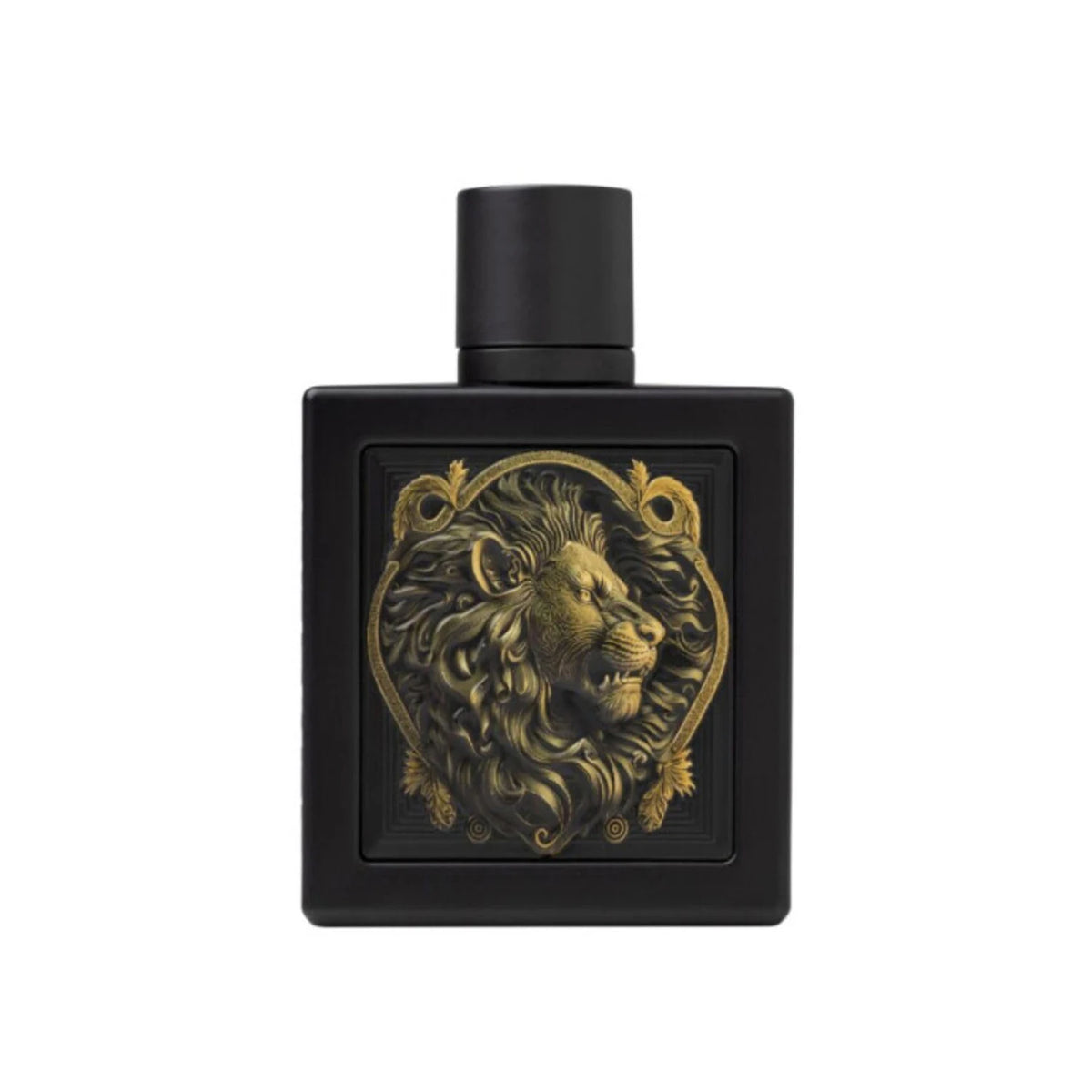 Rayhaan Eau de Parfum Collection – Long-Lasting Fragrance for Men & Unisex | 3.4 oz BoosTelle